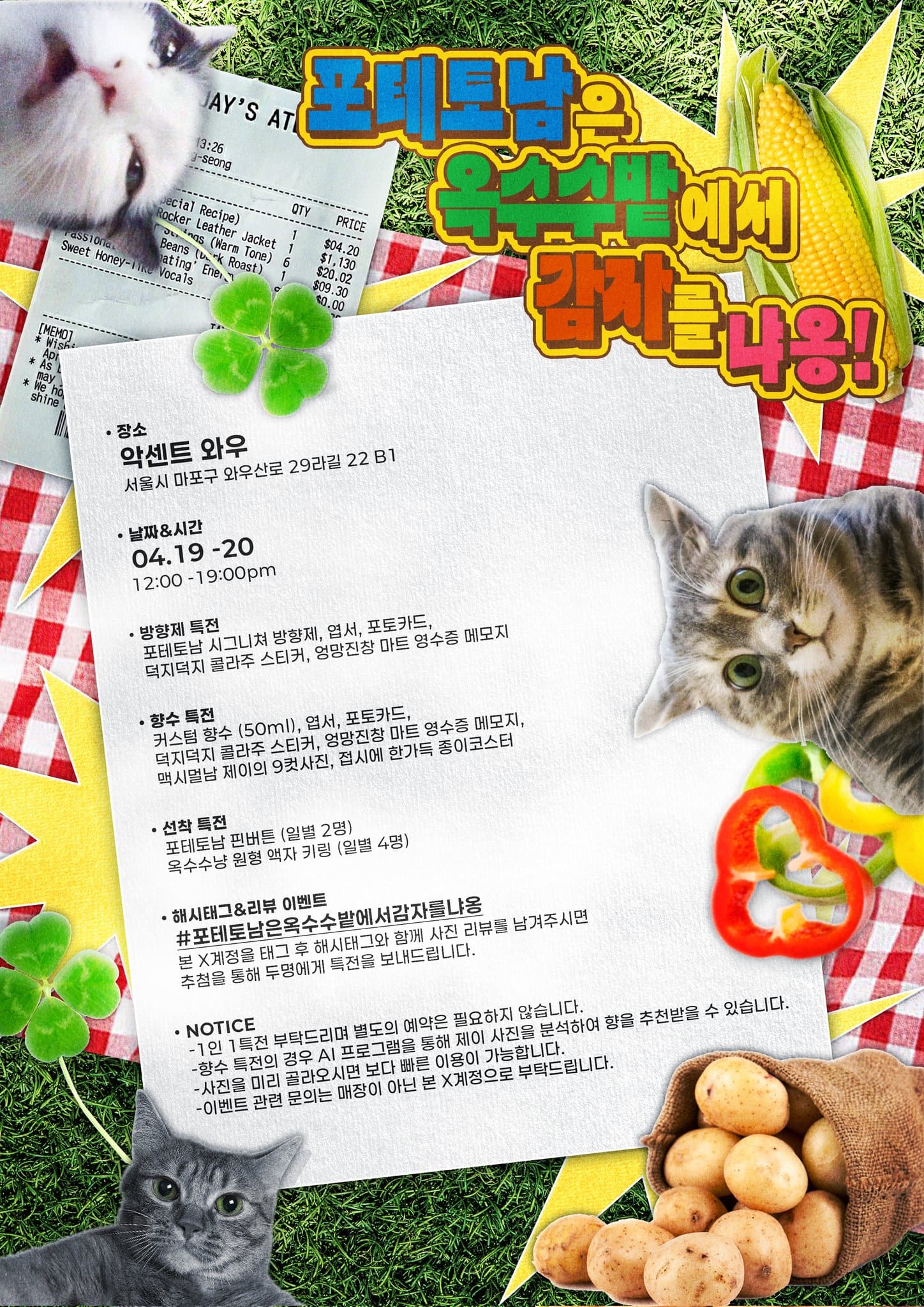 감자맨이 옥수수밭에서 감자를 냐옹 — 2026 JAY Birthday Cafe - 圖片 2