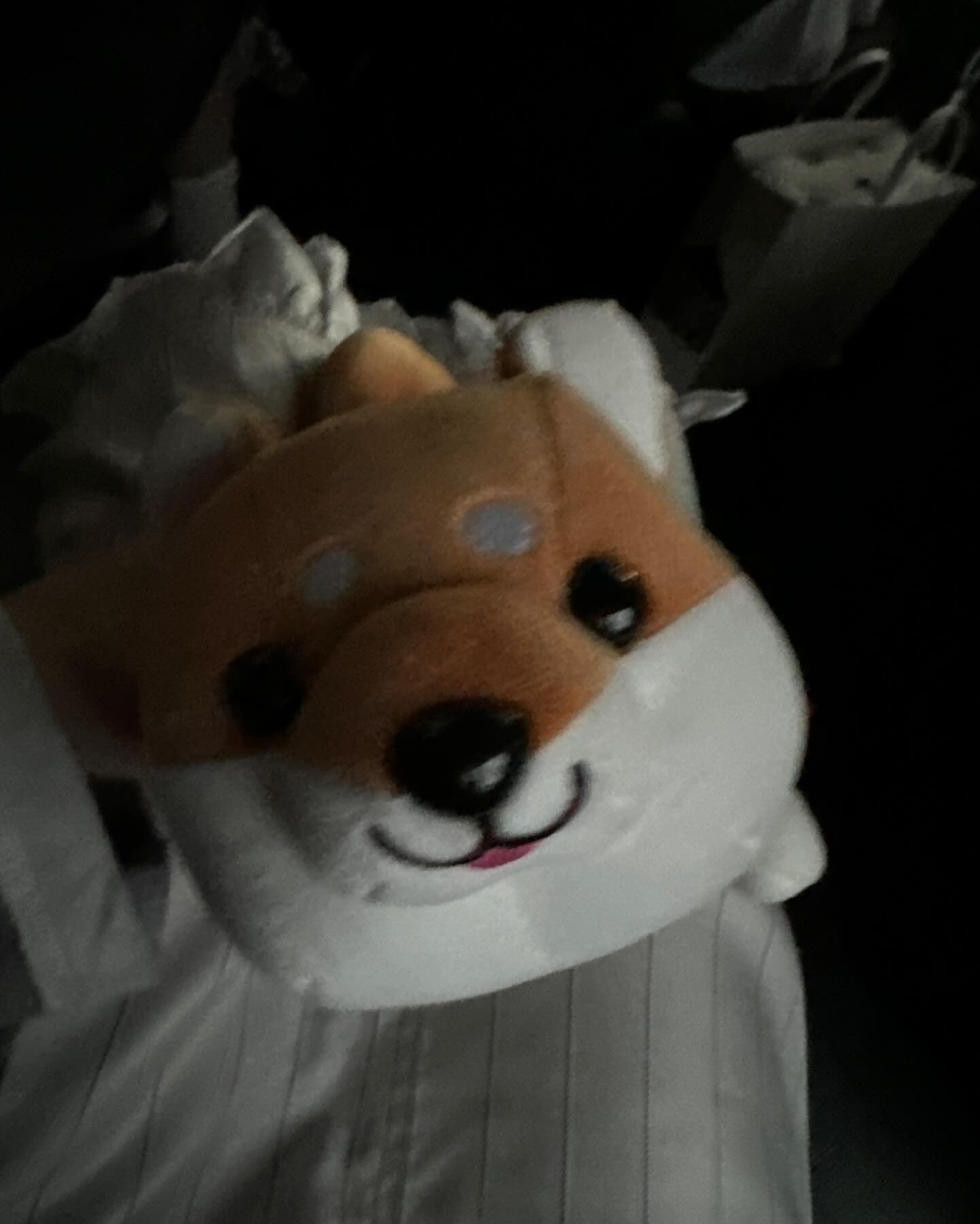 浅草神社 - 圖片 7