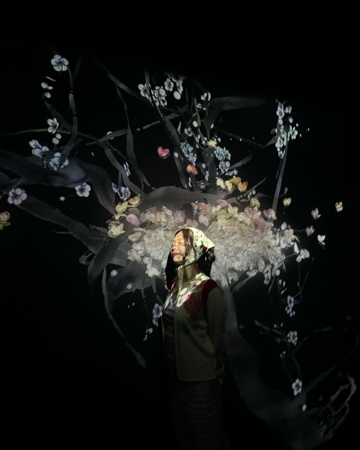 森ビル デジタルアート ミュージアム：エプソン チームラボボーダレス