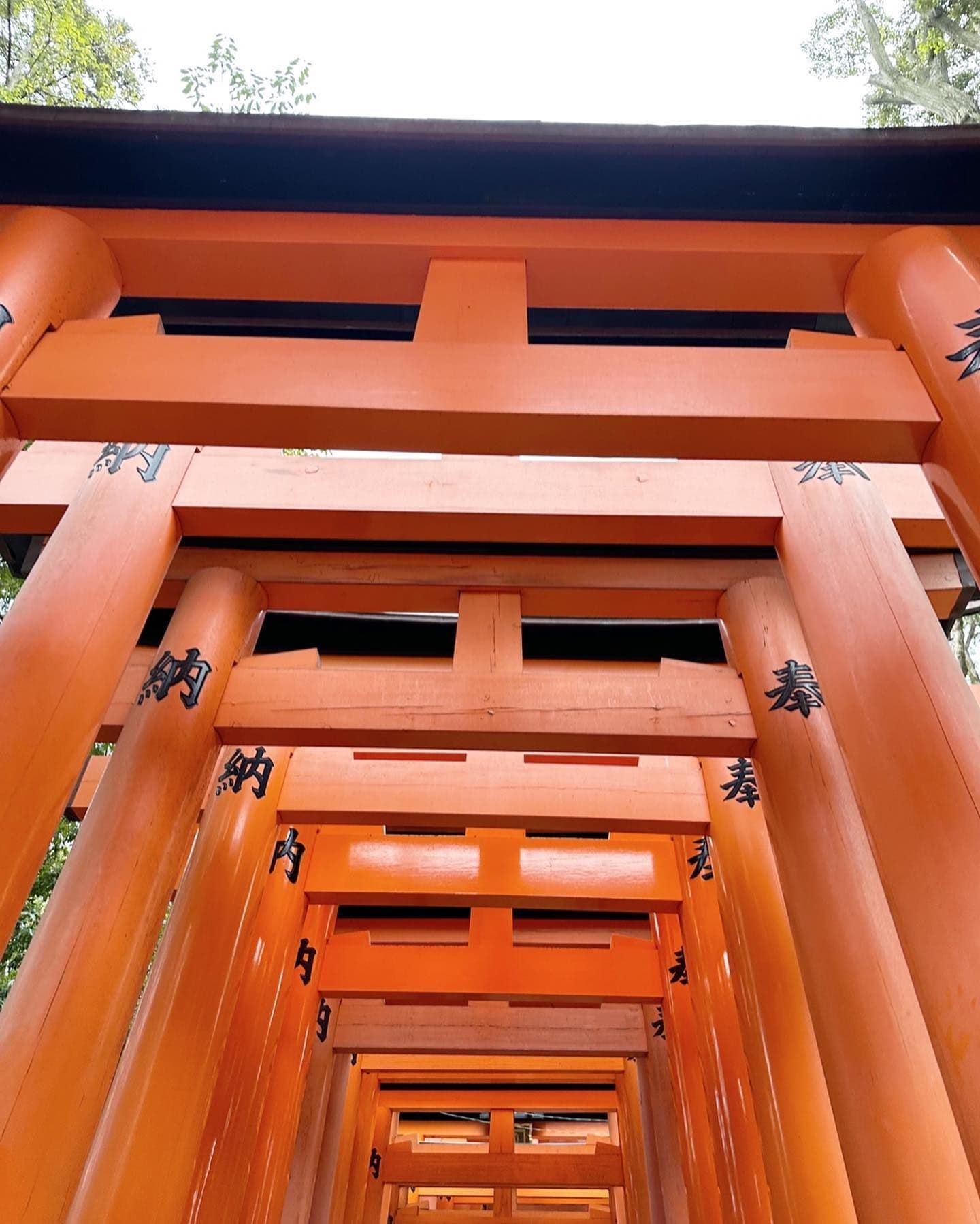 Giselle 與鳥居 - 圖片 5