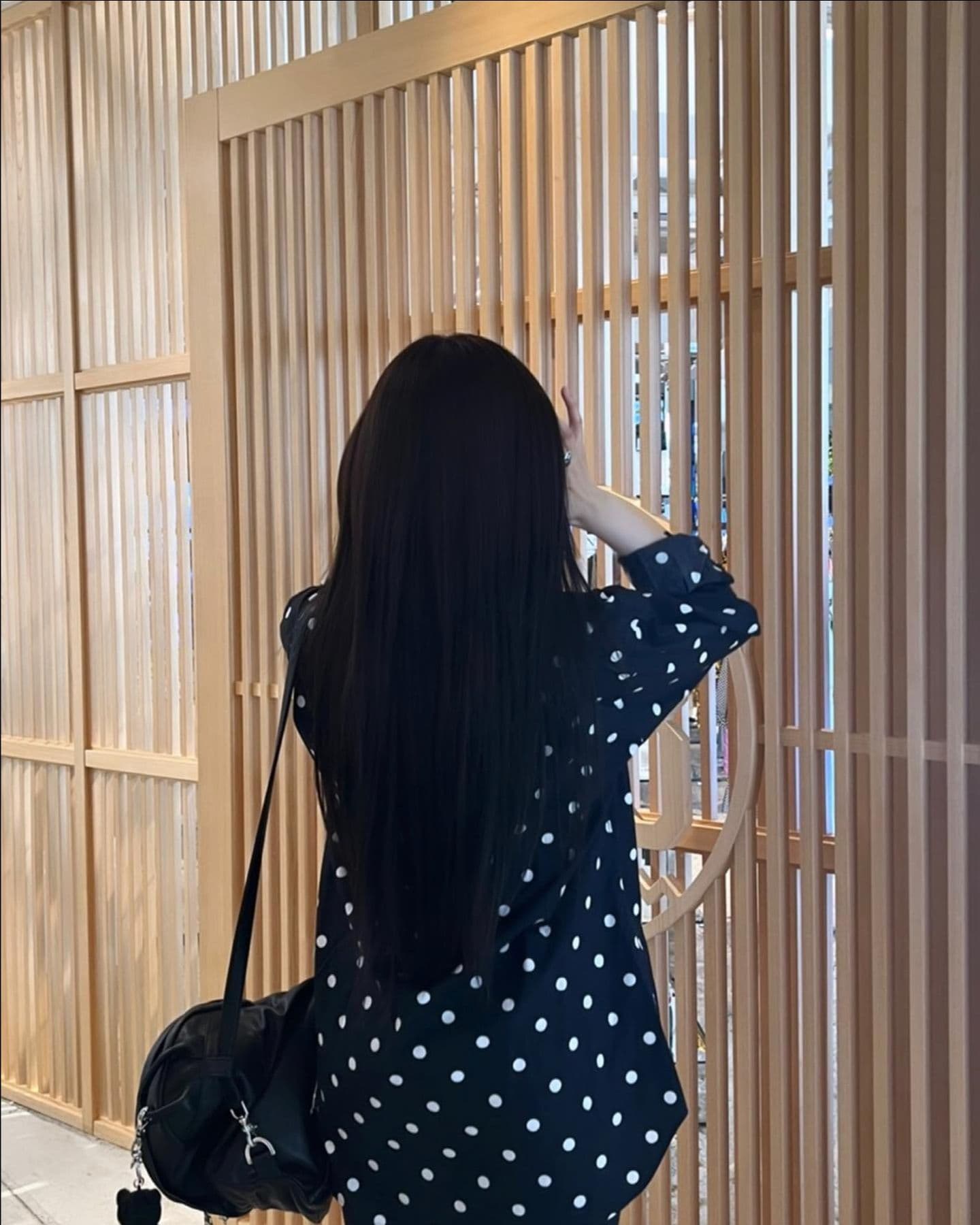 Giselle 與籬笆 - 圖片 2