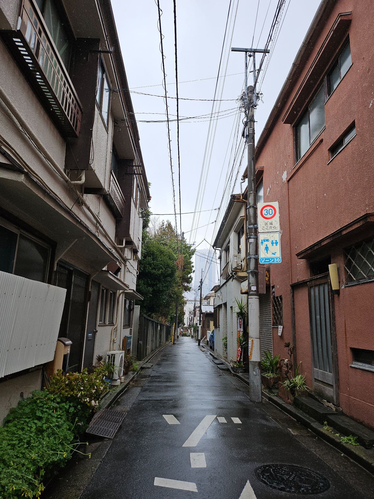 Woonhak 跳舞、Riwoo和Jaehyun跳舞 - 圖片 4