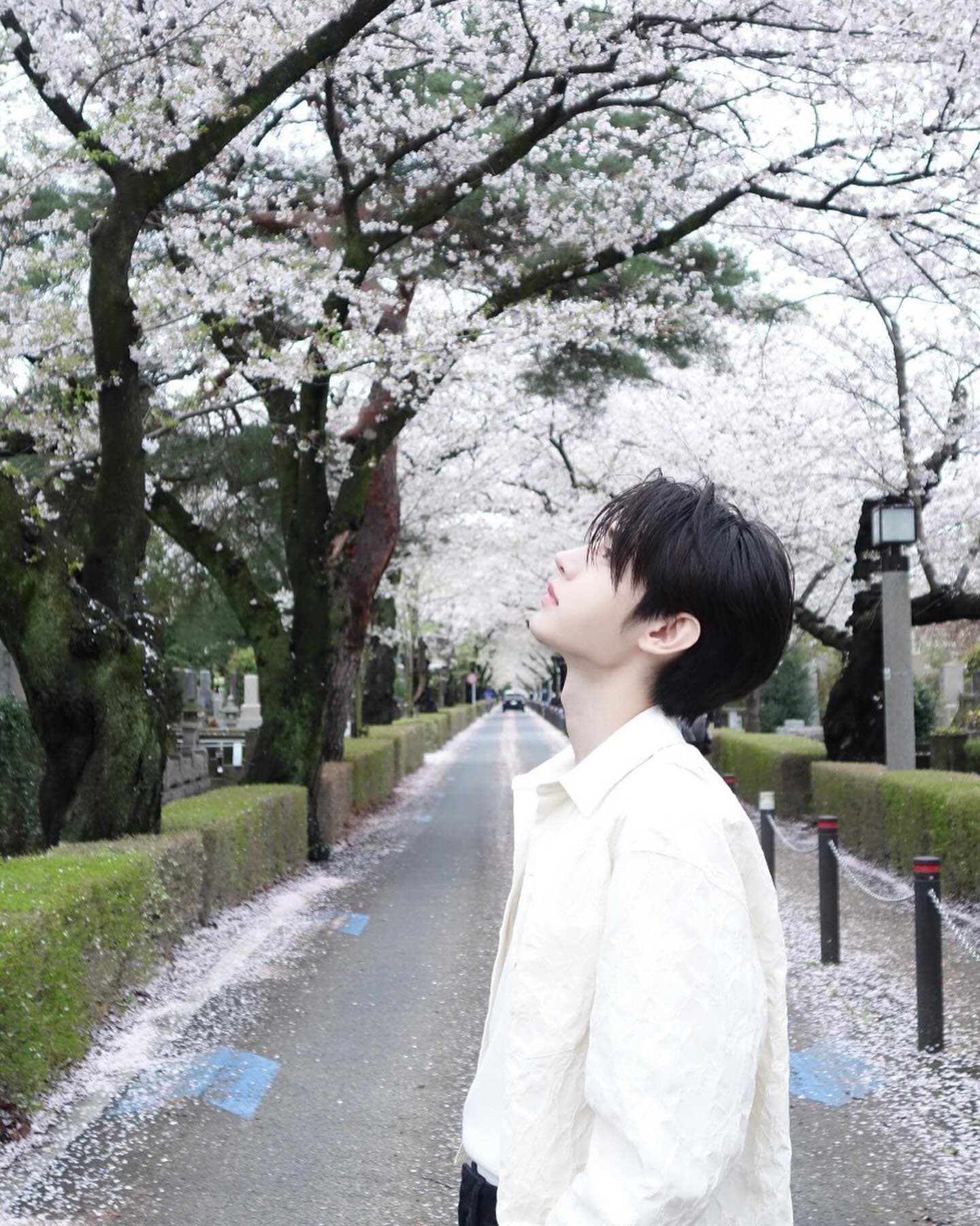 Sunghoon 白色戀人 - 圖片 2