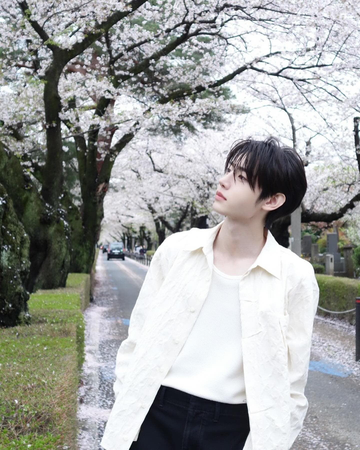 Sunghoon 白色戀人 - 圖片 4