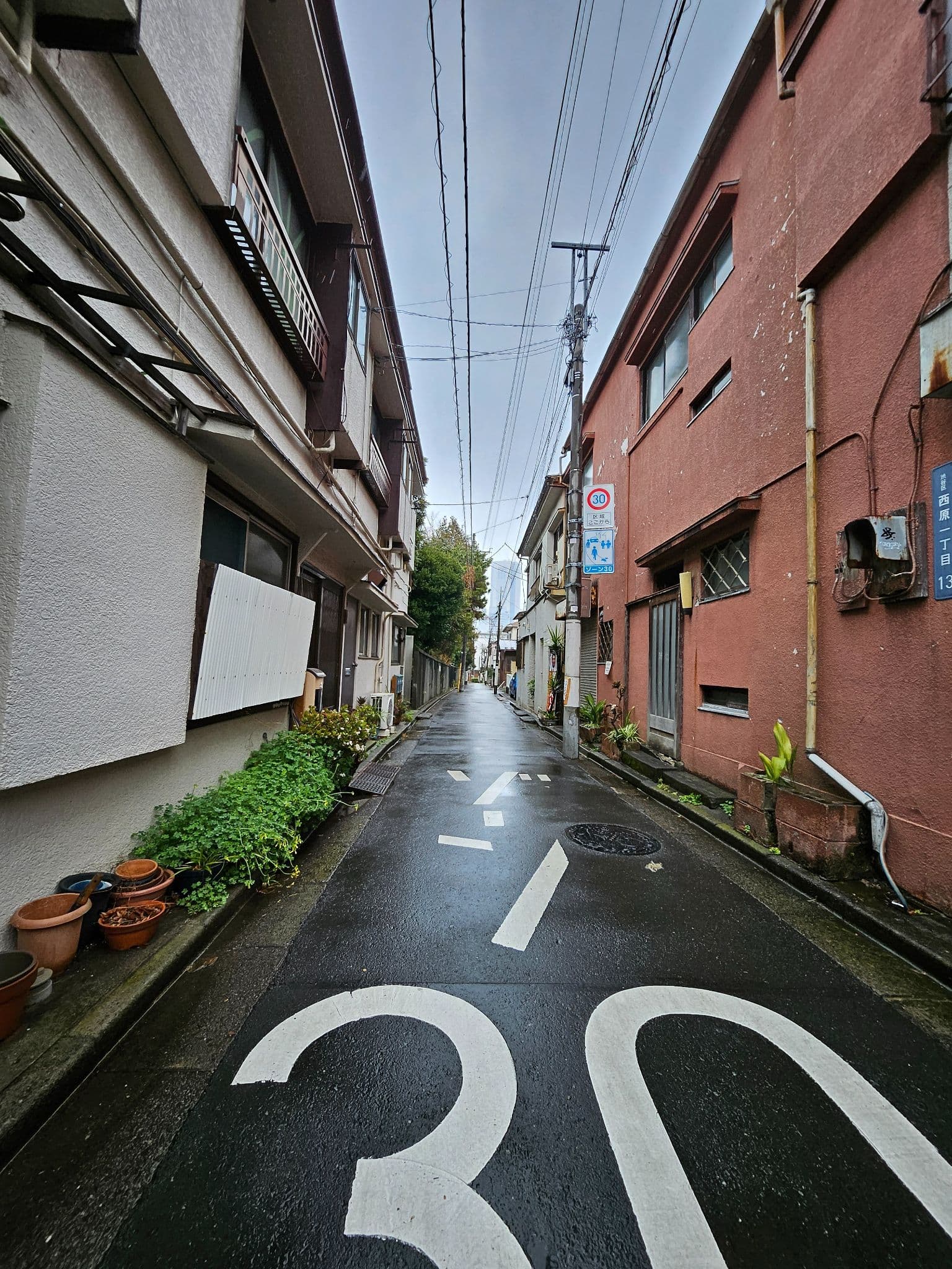 Woonhak 跳舞、Riwoo和Jaehyun跳舞 - 圖片 3