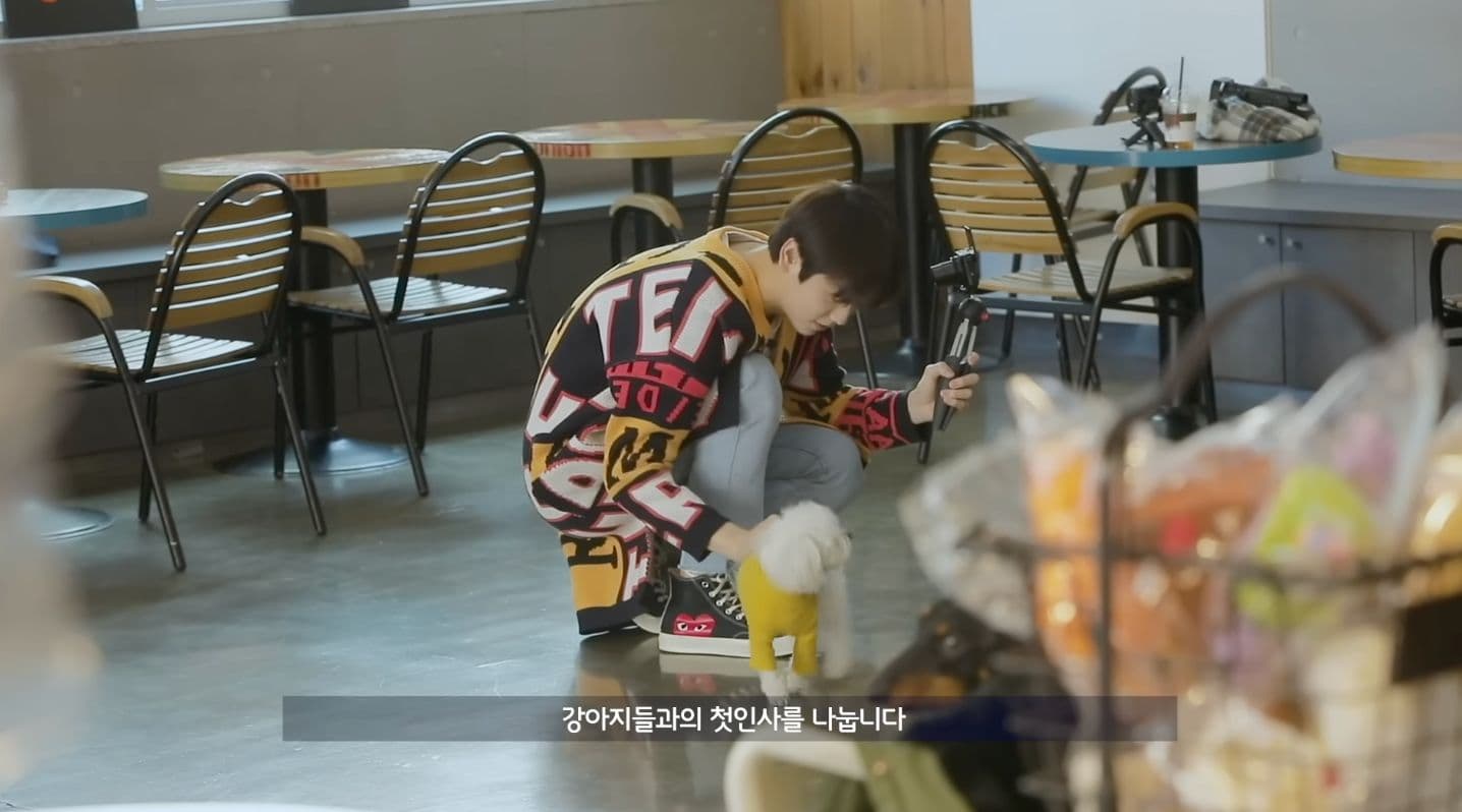 秀彬 狗狗咖啡廳