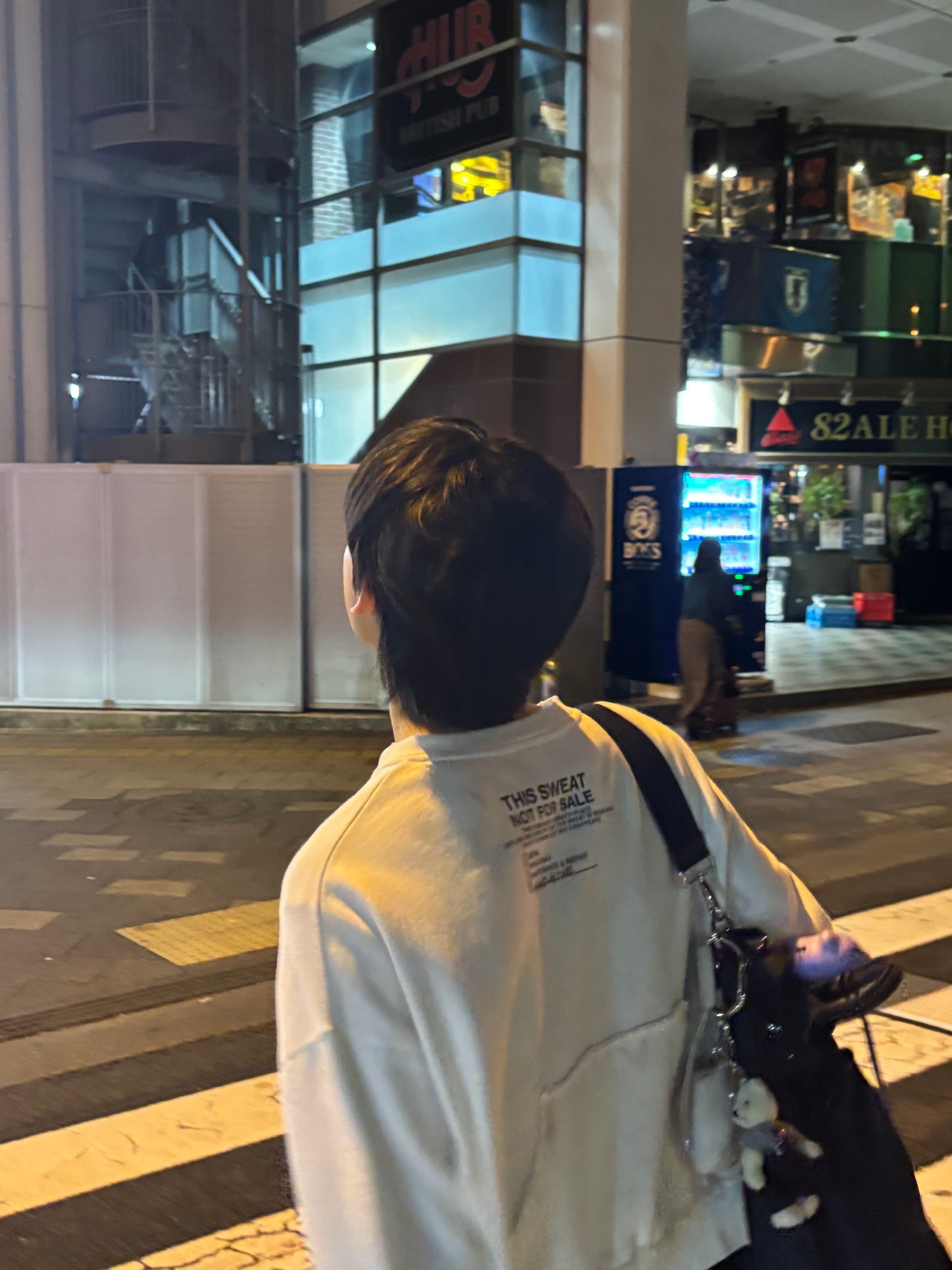 23善禹東京街頭斑馬線 - 圖片 9