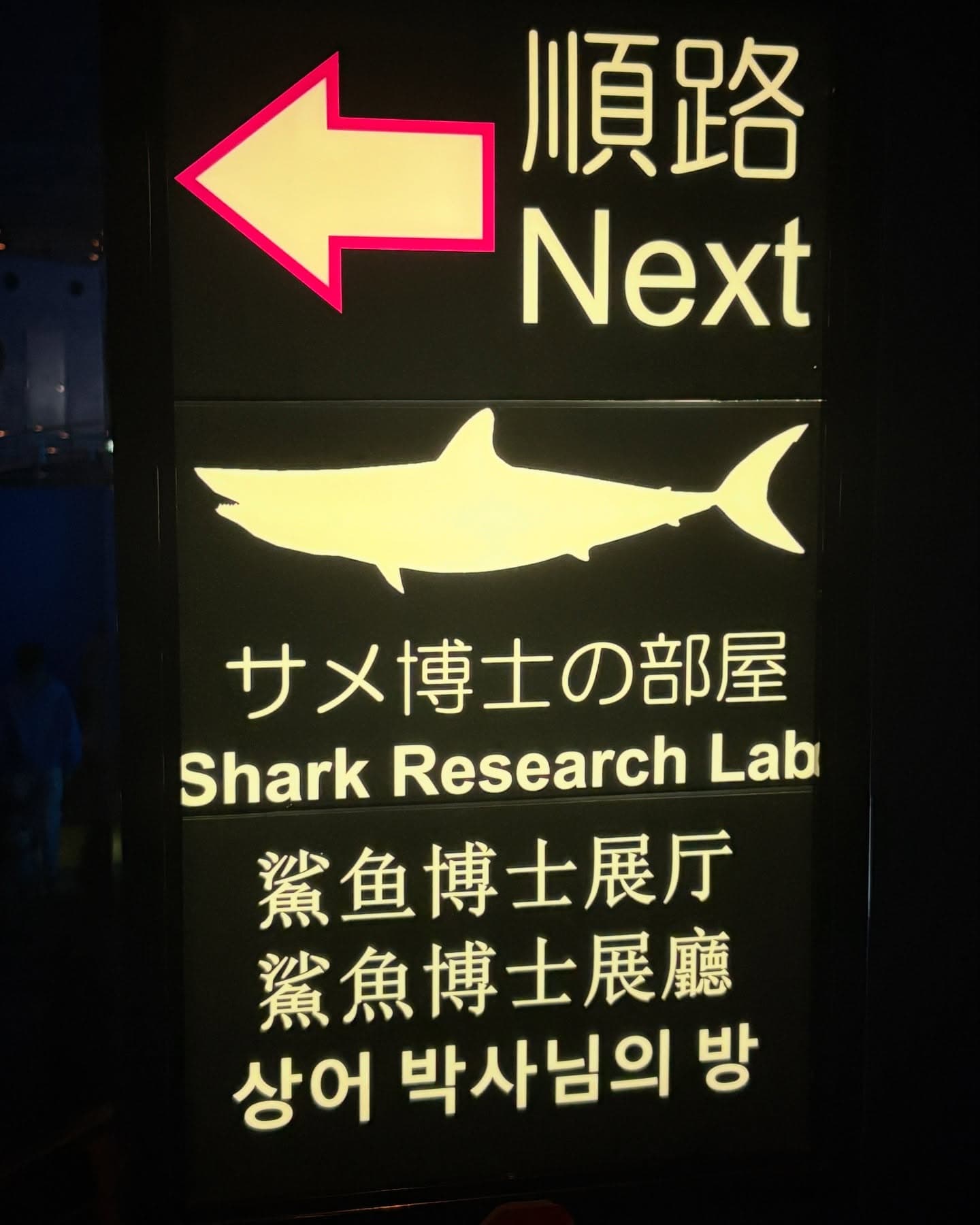 Karina 逛水族館 - 圖片 4