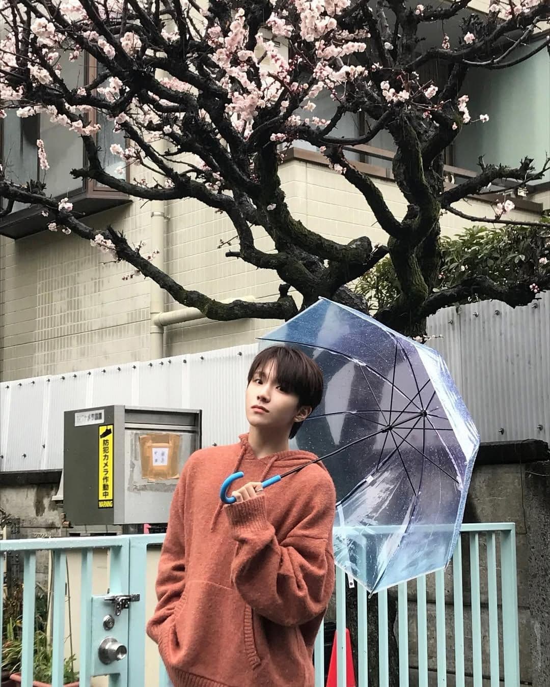 Taesan、Woonhak 雨傘 - 圖片 2