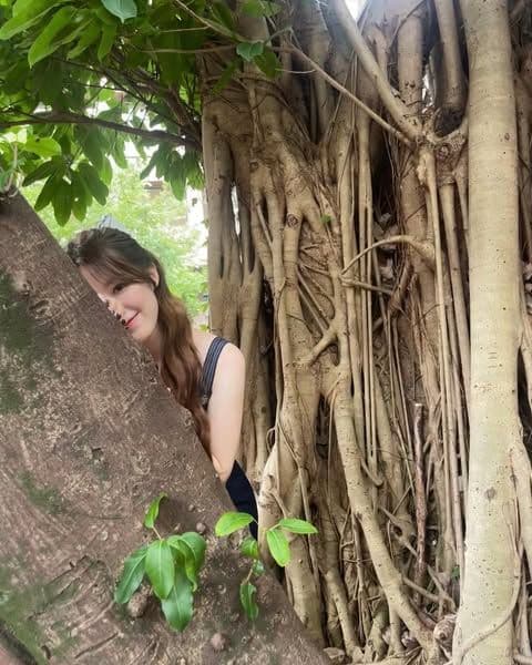 舒華 華山 - 圖片 4