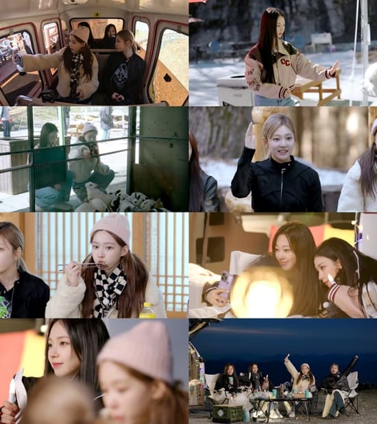 aespa 애니포레 알파카 목장 - 圖片 2