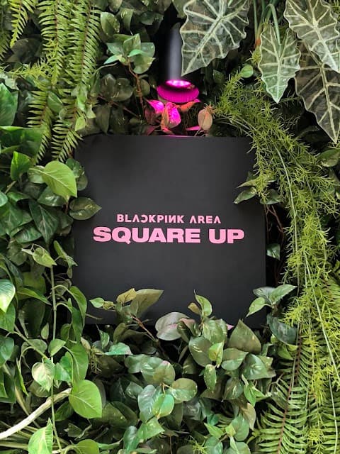 BLACKPINK HOUSE - 圖片 2