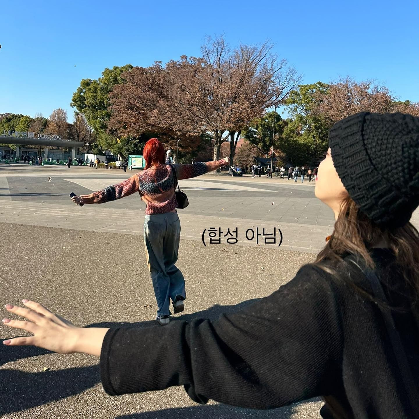 Yunjin Chaewon 上野動物園門口