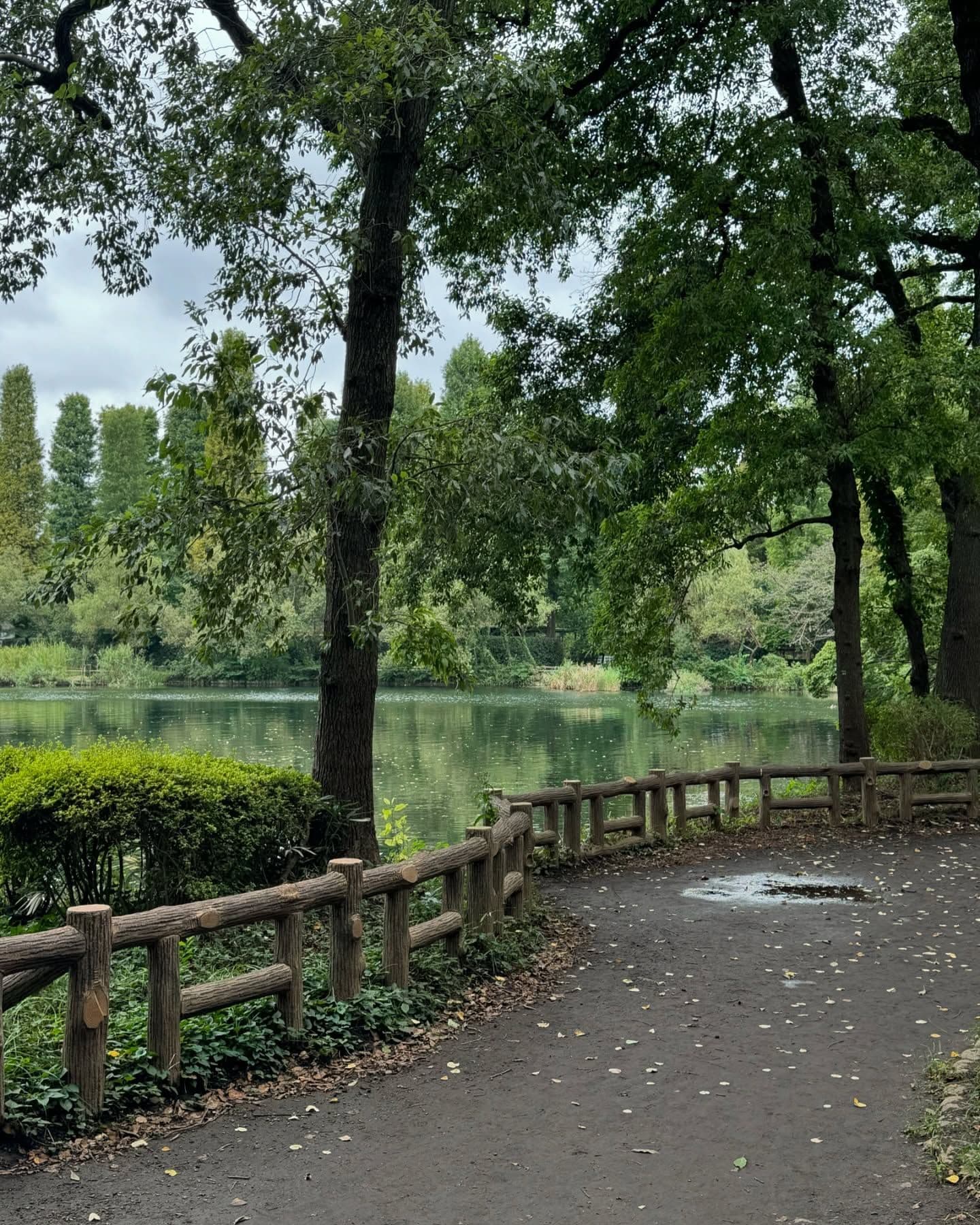 Nayeon 井の頭公園